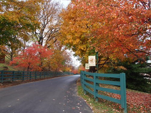 Buffalo Trace Bourbon Distillery | Central Bluegrass Region | Frankfort Kentucky 