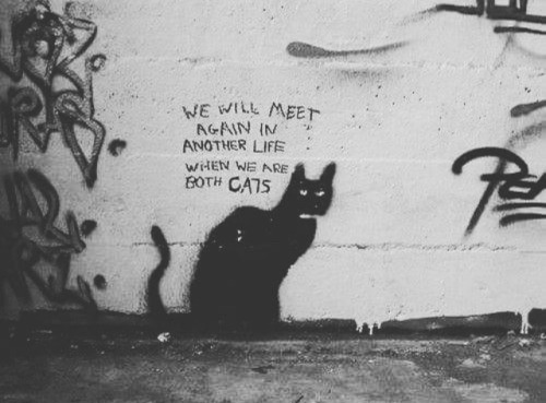 danskjavlarna: The principles in How to Be Your Own Cat can apply to reincarnations.