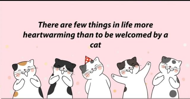 😺🥰❤️ #catsofinstagram #cats #cats_of_instagram #catsagram #catscatscats #catsagram #catslover #catsfollowers #catsoftheday #catsrule #catsoftheworld #catsofworld #catsofig #catsofinsta #catsoninstagram #cats_of_the_world #catsuit #catsdaily #cats_today #catsrequest #catsofday #catsofinstagram #cats_of_instworld #cats_of_world https://www.instagram.com/1aymah/p/CYsJ3goJ40p/?utm_medium=tumblr #catsofinstagram#cats#cats_of_instagram#catsagram#catscatscats#catslover#catsfollowers#catsoftheday#catsrule#catsoftheworld#catsofworld#catsofig#catsofinsta#catsoninstagram#cats_of_the_world#catsuit#catsdaily#cats_today#catsrequest#catsofday#cats_of_instworld#cats_of_world