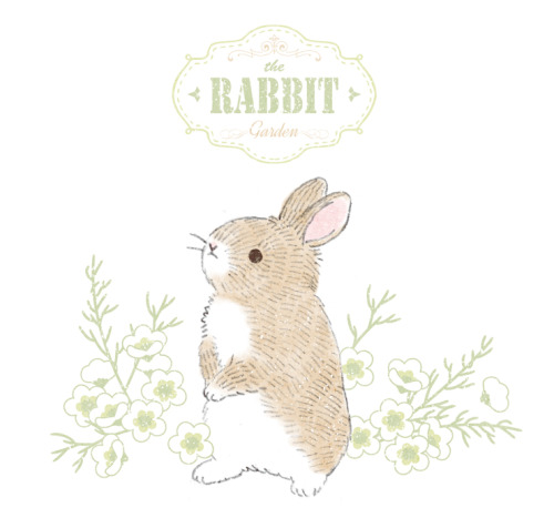 momo-tea: Rabbit Garden