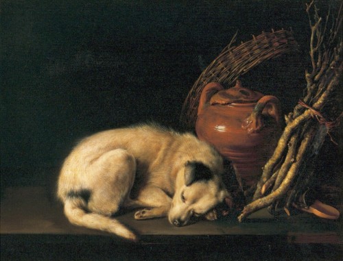 lyslily:Gerrit Dou - A Sleeping Dog with Terracotta Pot - 1650