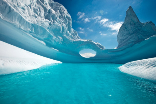 herbalnomics: sixpenceee: The waters of Antarctica appear to be fresh &amp; crystal clear. 