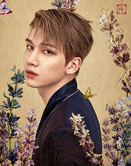 jongtaekwoon:VIXX - 桃源境