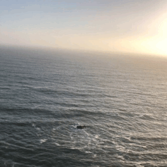 Spin