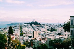 fioto:  I left my heart in San Francisco 