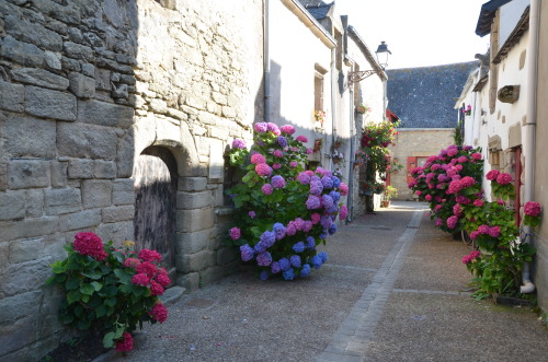 Places to go and things to eat around Guérande (Brittany) You might know Guérande (Pho