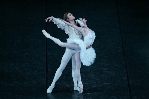 ladansetreschic: Polina Semionova and Friedemann Vogel 