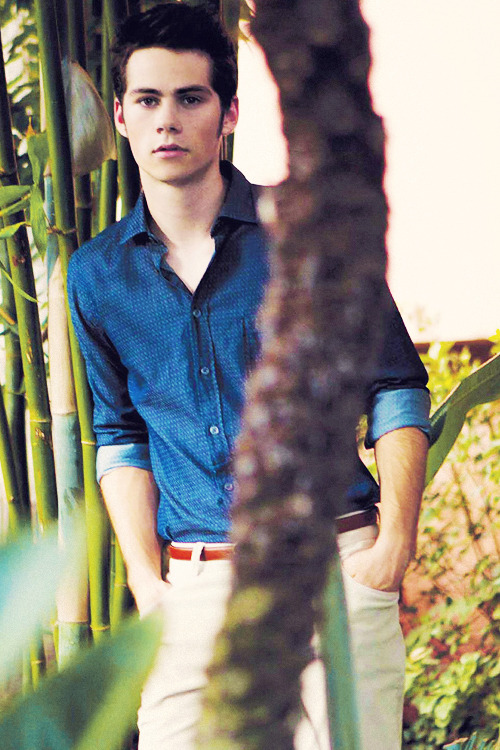 lay-your-shit-bare:  *groans*Be my boyfriend? 