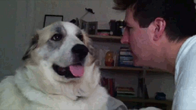 gif-giz:  gelinlik modelleri 
