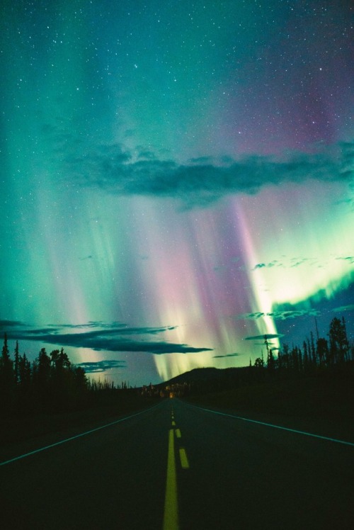jakeelko:Alaska Highway. September 2017@jakeelkoCheck out my instagram! =&gt; @jakeelko