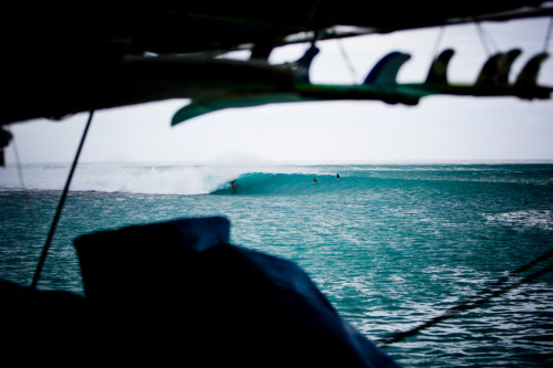 infinitesurf:macaronies // ben hicks