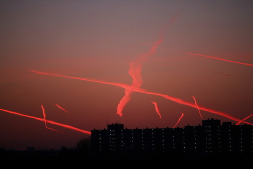 A couple of pictures of the sunset + contrails that I took a while ago.