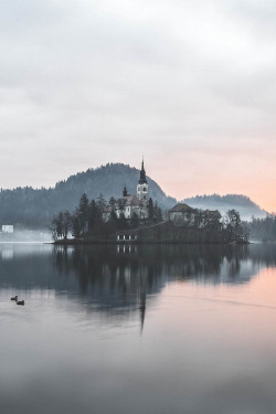 visualechoess:  Sunrise - Lake Bled - by: