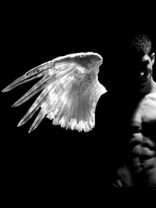 ladnkilt:  REMEMBER THE ORLANDO FORTY-NINE  -  12 JUNE 2016Too Often Tragedies