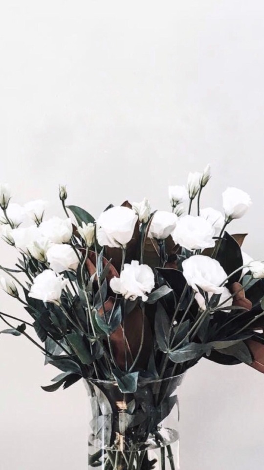 LOCKSCREENS on Tumblr: white roses lockscreen as requested
