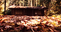 videodromess:  The Cabin in the Woods (2012)