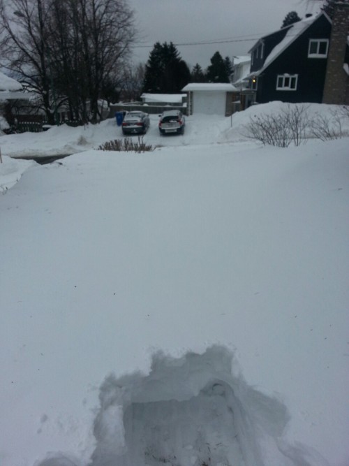 deanasana:  Winter in Canada funnn Right is what I did, left it what’s left to do…I’m not even halfway to the street….