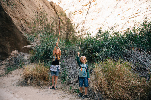 thegoodinatx: “I believe I speak for everyone when I say that Santa Elena Canyon was one of th