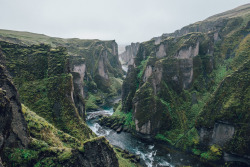 seka-seka:  	Fjaðrárgljúfur by Jonathan Percy    	Via Flickr: 	South Iceland   