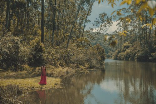 atoubaa:  Wayne Booth shot in Kerala (India) by Grant Thomas 