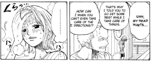 Zoro Et Nami