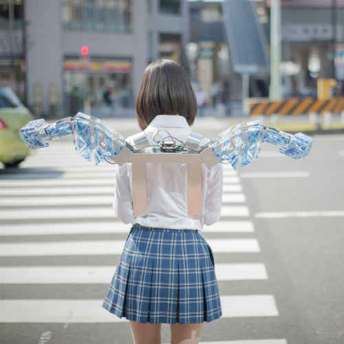 raku-taro:  METCALF clione  created by Kyun_kun graphics designed by Rei Nakanishi mo