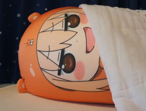 ohnoraptors:  Himouto! Umaru-chan - Almost Life-size Cushion 