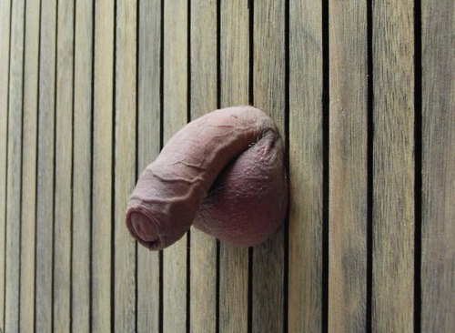 casualnachosheep: Knobs & Knockers, front door entry, cum in for a f****g good time!