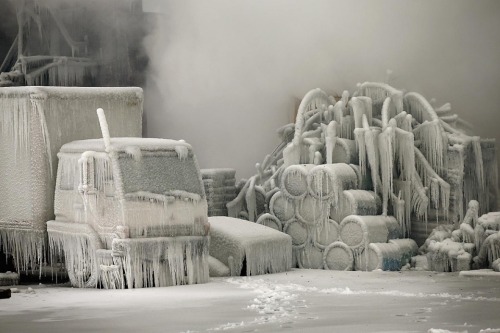 Porn photo  Chicago under ice, couple days ago. January