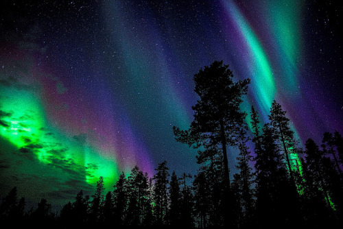 Porn Pics senerii:  Aurora Borealis (By The Aurora