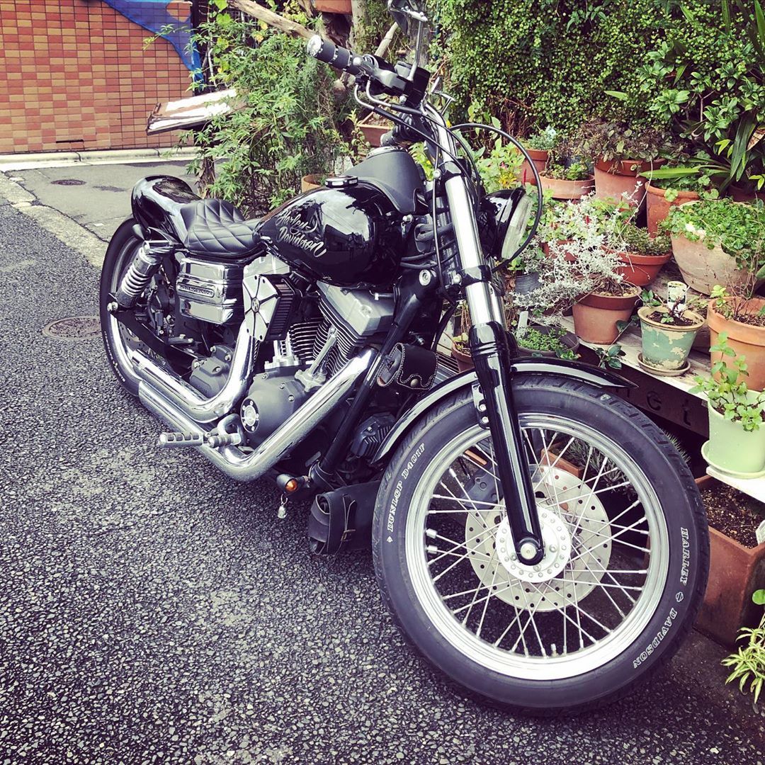 柿のキ お客様の乗り物 かっこいいバイクです ハーレーダビッドソン 柿のキ お客様の乗り物 かっこいいバイクです ハーレーダビッドソン