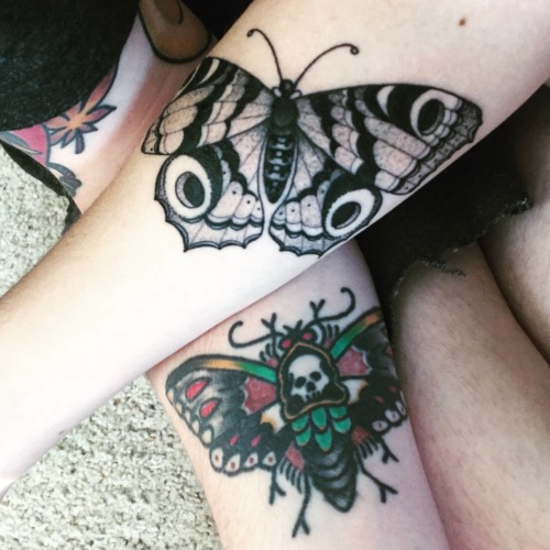 illuminaudo:  the two of us in moth form featuring my love mustachecurse  Instagram: @hanoverboard