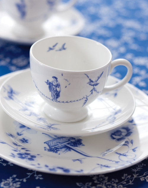 stepfordwasp: Wedgwood