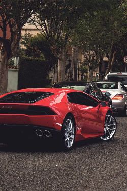 gentlemansessentials:   Huracan  Gentleman’s