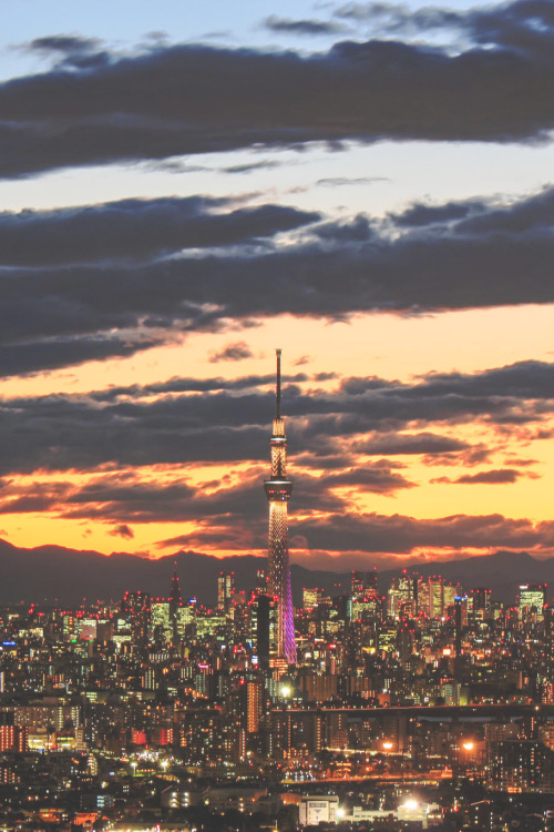 visualechoess:  Tokyo - by: shiroooooooo 