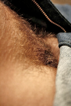 hairlessrandy:Ooooh!  A manly pubic forest…looks rust colored, sweaty and thick - this will certainly be a great appetizer before the man course is served - hot cock in man sauce!