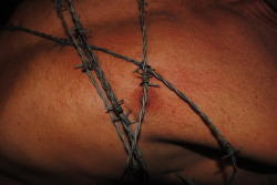 I feel secure behind my barbed wire .More