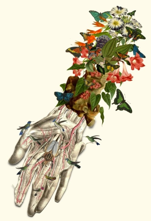 bestofs6:  BEDELGEUSE More from the artist here