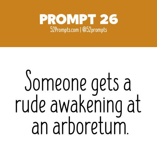 Write a story or create an illustration using the prompt: Someone gets a rude awakening at an arbore