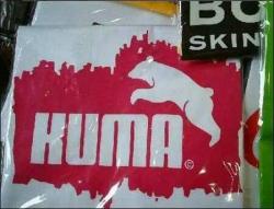 chilewebeooo:  Puma PLS