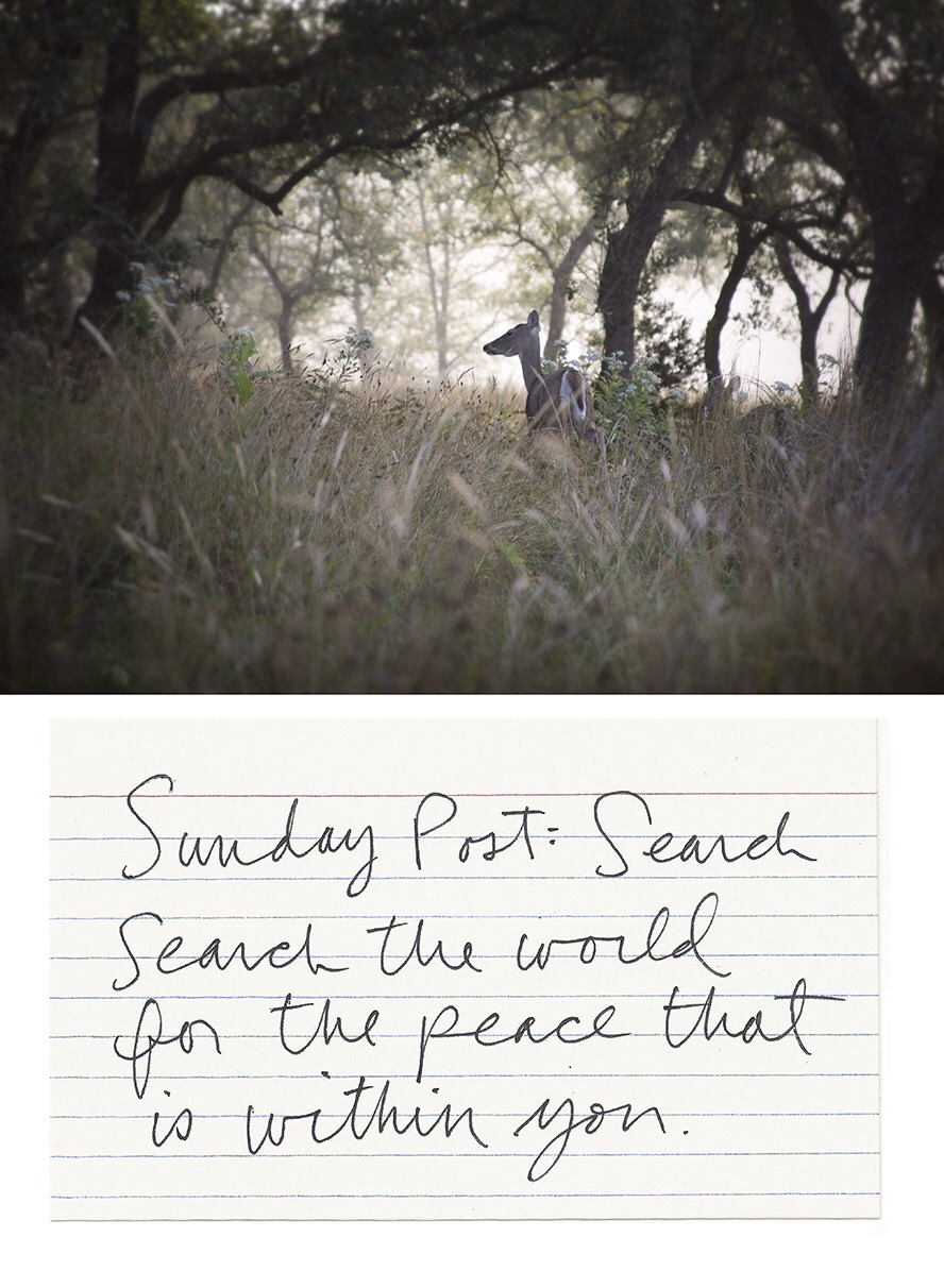 reverendbobbyanger:  Words and image, Reverend Bobby Anger