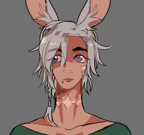 had some viera brainworms this evening