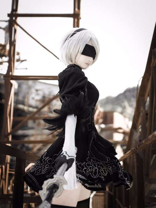 saladfly: NieR:Automata