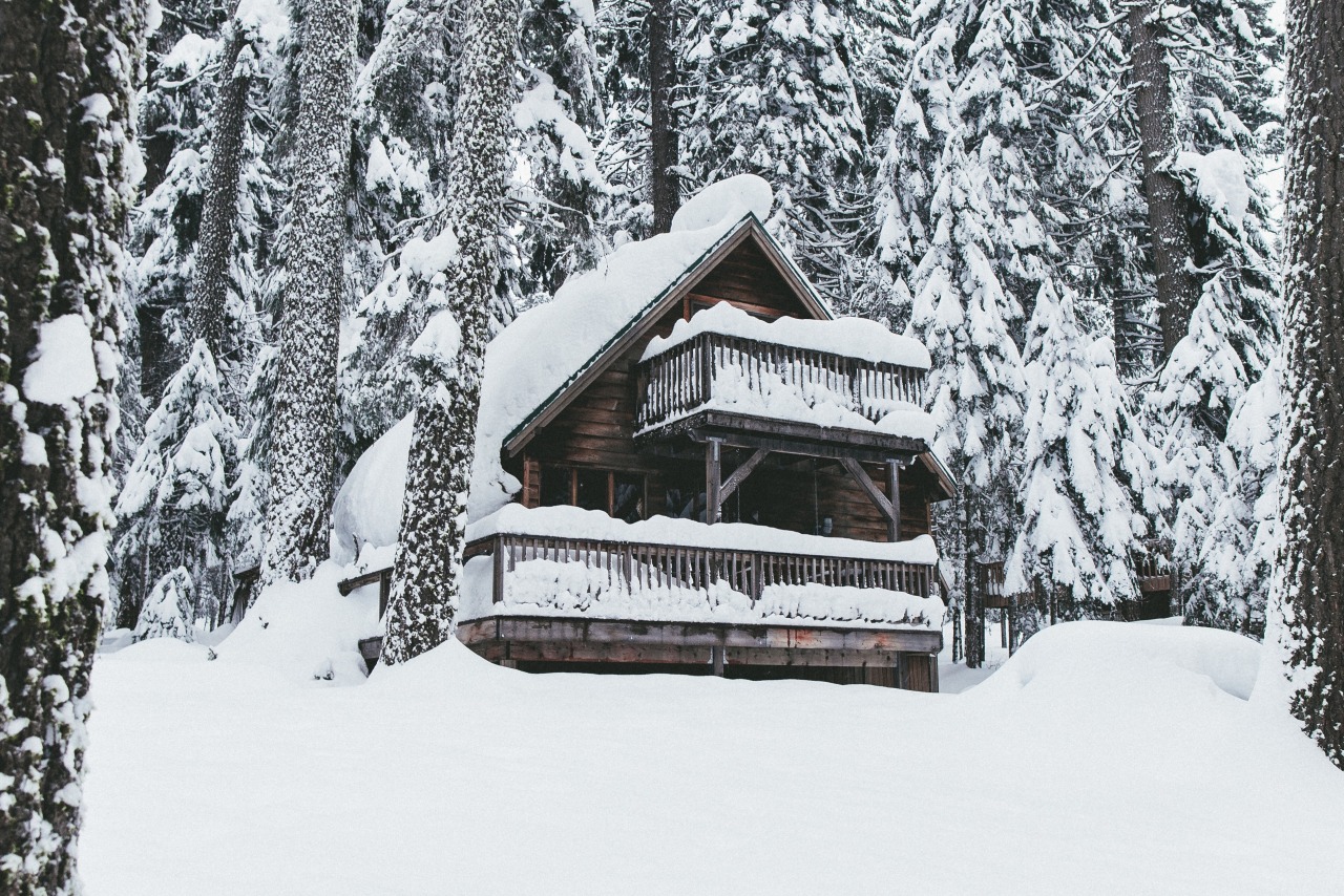 bubbasellars:  Cabin deep in the Oregon wilderness. 