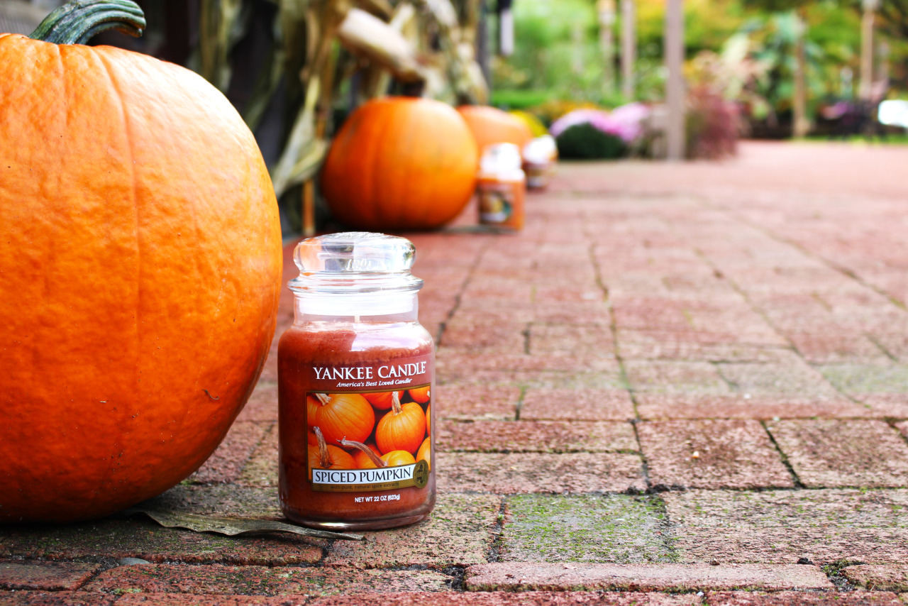 theyankeecandle:   Pumpkin everything. 