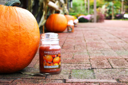 Theyankeecandle:   Pumpkin Everything. 