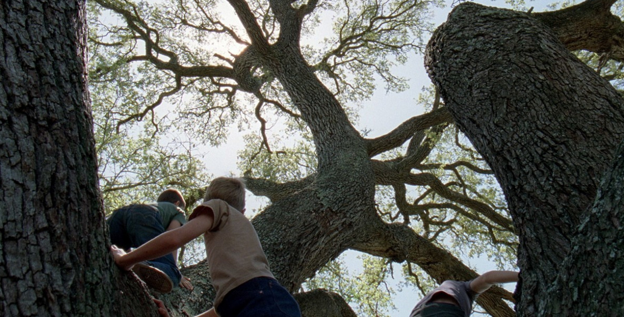 cinemagreats:  The Tree of Life (2011) - Directed by Terrence Malick 