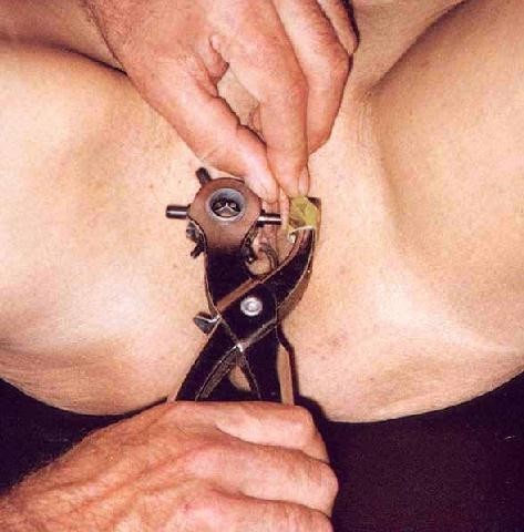 pussymodsgaloreI’ve never heard of labia piercings being done like this, though providing the tool was sterile, I cannot see why not. There are a number of hole sizes available, the larger sizes punched immediately, no hole stretching necessary!This