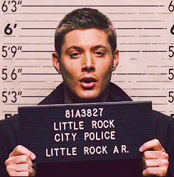 Police: "Tumblr, you're under arrest."