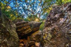 earthstory:  Sawn Rocks: Nature’s Organ